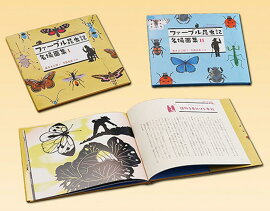 �ե����֥뺫�̾���̽�����2�����åȡ�