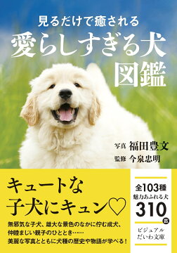 本 写真集 タレント 週間ランキング 動物 自然 楽天ブックス