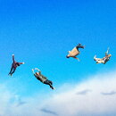 ヤバすぎるスピード