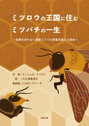 ミツロウの王国に住むミツバチの一生