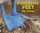 Fantastic Feet Up Close