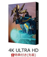 【先着特典】マクロスプラス MOVIE EDITION 4Kリマスターセット(4K ULTRA HD Blu-ray & Blu-ray Disc)(特…