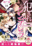 犯されシンデレラ