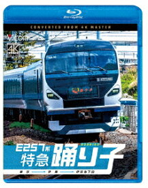 E257系 特急踊り子 東京～伊東～伊豆急下田【Blu-ray】 [ (鉄道) ]