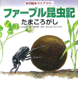 �ե����֥뺫��ʤ��ޤ���������