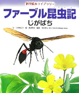 �ե����֥뺫��ʤ����Ф���