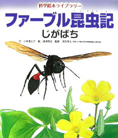 楽天市場 ファーブル昆虫記 小峰書店の通販