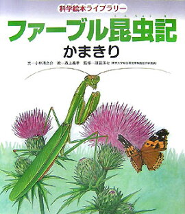 �ե����֥뺫��ʤ��ޤ����