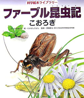 �ե����֥뺫��ʤ���������