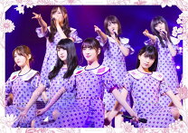楽天市場】乃木坂46 7th year birthday live 完全生産限定版の通販