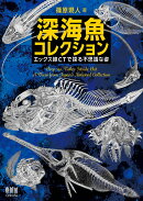深海魚コレクション