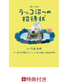 【特典】ラッコ沼への招待状(豪華オリジナルシール1枚) [ 今泉忠明 ]