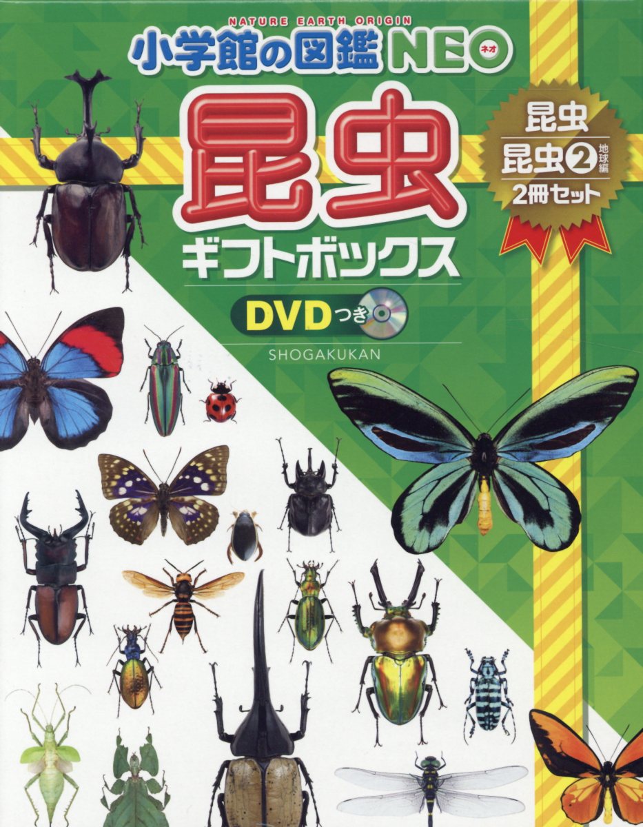 小学館の図鑑NEO昆虫ギフトボックス2冊セット　DVDつき　昆虫／昆虫2地球篇