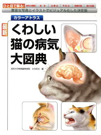 最新　くわしい猫の病気大図典 豊富な写真とイラストでビジュアル化した決定版 （カラーアトラス） [ 小方 宗次 ]