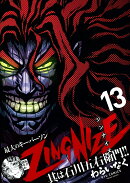 ZINGNIZE(13)