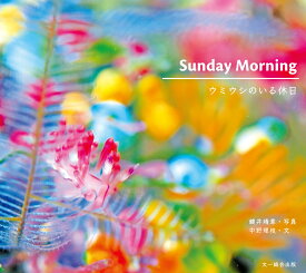 SUNDAY MORNING　ウミウシのいる休日 [ 鍵井　靖章 ]