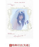 【先着特典】AiNA THE END “nukariari”(ポストカード)