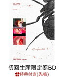 【先着特典】AiNA THE END “nukariari”(初回生産限定盤)【Blu-ray】(ポストカード)