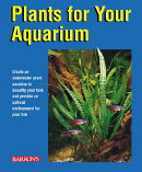 Plants for Your Aquarium