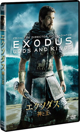 ���������� ���Ȳ�