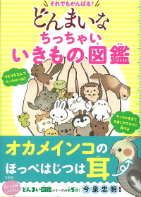 楽天ブックス それでもがんばる どんまいなちっちゃいいきもの図鑑 今泉 忠明 本