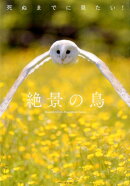 死ぬまでに見たい!絶景の鳥