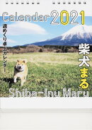 2021年　柴犬まる週めくり卓上カレンダー