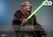 【ムービー・マスターピース】 『スター・ウォーズ　エピソード3／シスの復讐』 1/6スケールフィギュア サシー・ティン (可動式フィギュア)