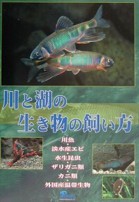 5doj Pdf ダウンロード 川と湖の生き物の飼い方 川魚 淡水産エビ 水生昆虫 ザリガニ類 カニ類 外