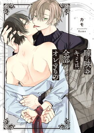 瞳に映るキミは、全部オレのもの （リキューレコミックス） [ カモ ]