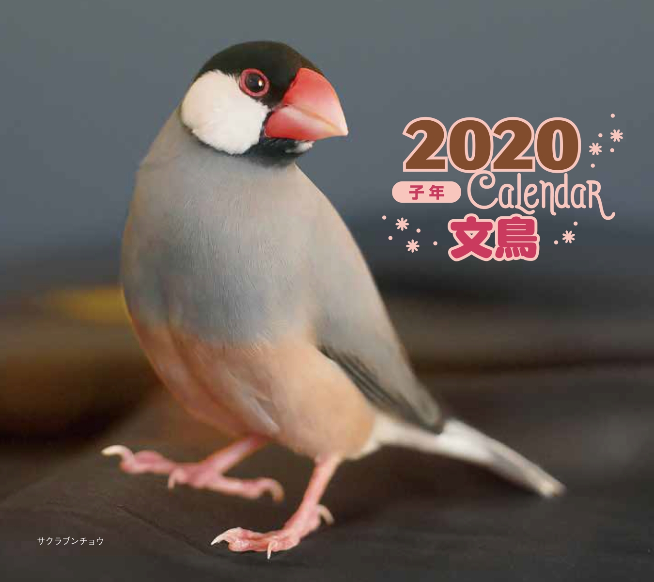 2020年ミニ判カレンダー文鳥[伊藤美代子]