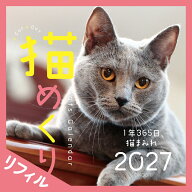 Cats Calendar　猫めくり　リフィル2027 1年365日、猫まみれ