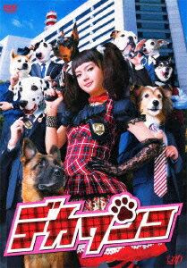 デカワンコ Dvd Box 多部未華子 Dvd 楽天ブックス