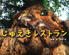 楽天市場 ふしぎいっぱいの通販