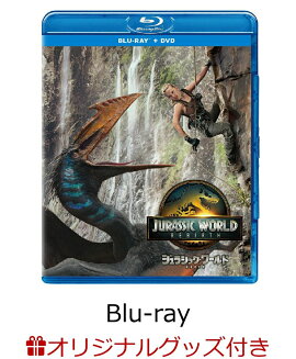 �ڳ�ŷ�֥å������ꥰ�å��ۥ���饷�å������ɡ���������� �֥롼�쥤+DVD ���åȡ�Blu-ray��(���ꥸ�ʥ롦���ꥢ�ܥȥ�+���ꥸ�ʥ롦�֥�󥱥å�+���ꥸ�ʥ롦�ȡ��ȥХå�)