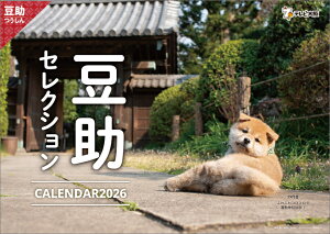 yyVubNXTz㓤ZNVi2026N1n܂J_[j(g[fBOJ[h1)