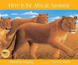 Here Is the African Savanna HERE IS THE AFRICAN SAVANNA （Web of Life） [ Madeleine Dunphy ]