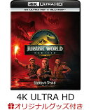 【楽天ブックス限定グッズ】ジュラシック・ワールド／復活の大地 4K UHD+ブルーレイ セット【4K ULTRA HD】(オリジナル・クリアボトル+オリジナル・ブランケット+オリジナル・トートバッグ)