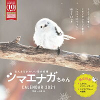 楽天ブックス まんまるかわいい雪の妖精シマエナガちゃんcalendar 21 本