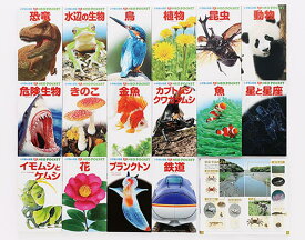 小学館の図鑑NEOポケット（17冊セット）