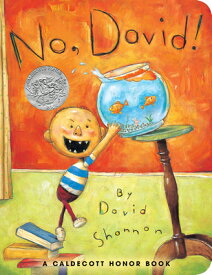 NO,DAVID!(BB) [ DAVID SHANNON ]