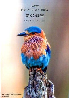 楽天ブックス 鳥の教室 アマナイメージズ 本