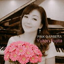 Pink Garbera