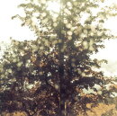 【輸入盤】Embrace