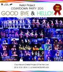 Hello!Project COUNTDOWN PARTY 2013 〜GOOD BYE & HELLO!〜【Blu-ray】