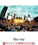 【楽天ブックス限定先着特典】マカロニえんぴつ 10th Anniversary Live 『still al dente in YOKOHAMA STADIUM』【Blu-ray】(マルチポーチ)