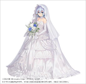 りゅうおうのおしごと！21　～白雪姫と竜王の結婚～　完結記念メモリアルブック付き特装版 （GA文庫） [ 白鳥士郎 ]