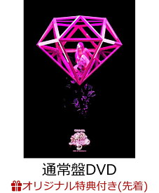 【楽天ブックス限定先着特典】AREA OF DIAMOND 3(通常盤DVD)(オリジナルA4クリアファイル(楽天ブックス .ver)) [ ちゃんみな ]
