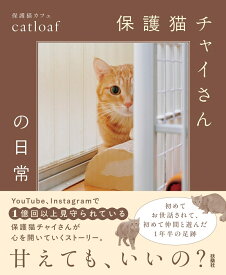保護猫チャイさんの日常 [ 保護猫カフェ catloaf ]