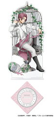 ブルーロック アクリルスタンド〜Flower Cage〜 7.糸師 冴